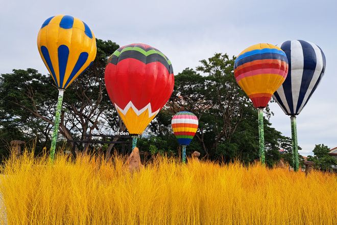 Balloon Garden