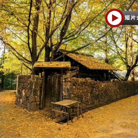 【5鑽】 滇西秘境風光  雲南(昆明、騰沖、大理、麗江、瀘沽湖)8天純玩直航團  東方女兒國~瀘沽湖、麗江古城~穿民族服飾、洱海生態廊道、音樂觀光車唱遊+旅拍、銀杏村、北海濕地公園、熱海景區、大理古城