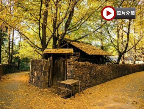 滇西秘境風光 雲南(昆明、騰沖、大理、麗江、瀘沽湖)8天純玩高鐵團 東方女兒國~瀘沽湖、麗江古城~穿民族服飾、洱海生態廊道、音樂觀光車唱遊+旅拍、銀杏村、北海濕地公園、大理古城、西山龍門風景區 滇西秘境風光 雲南(昆明、騰沖、大理、麗江、瀘沽湖)8天純玩高鐵團 東方女兒國~瀘沽湖、麗江古城~穿民族服飾、洱海生態廊道、音樂觀光車唱遊+旅拍、銀杏村、北海濕地公園、大理古城、西山龍門風景區
