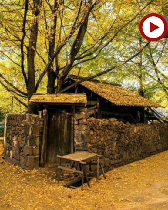 滇西秘境風光  雲南(昆明、騰沖、大理、麗江、瀘沽湖)8天純玩直航團  東方女兒國~瀘沽湖、麗江古城~穿民族服飾、洱海生態廊道、音樂觀光車唱遊+旅拍、銀杏村、北海濕地公園、熱海景區、大理古城