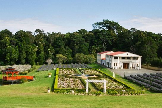 Jasmine_有機農莊