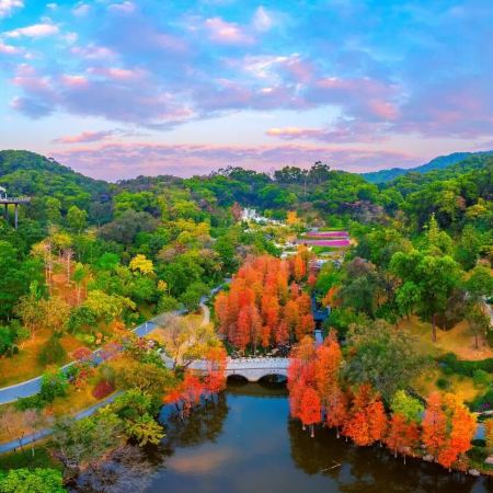 潮遊~清遠廣東版小九寨溝「千谷溪~九重飛瀑」保證入住清遠遠光雅閣酒店【鮮鮑翅木瓜浸藥膳雞(保證每席2隻清遠雞)】【金獎果木黑松露燒鵝宴】【金牌紅燒脆皮乳鴿(每位半隻)】清遠美景純玩2天團