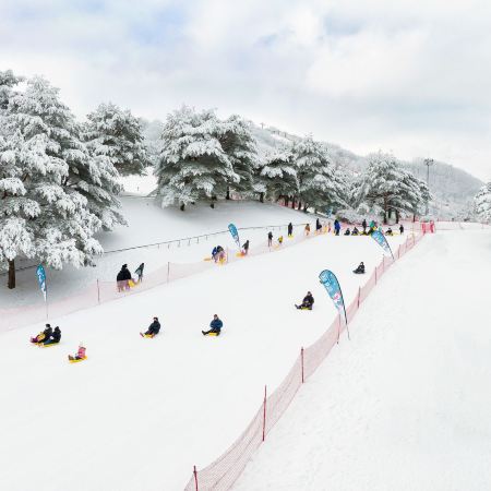 洪川+首爾 5 天冬日滑雪之旅【Sono Belle Vivaldi Park+冬日滑雪+觀光纜車+冰雪樂園 Snowy Land】月尾島海鷗船體驗、士多啤梨園、愛寶樂園Everland