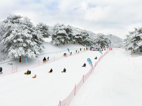 洪川+首爾 5 天冬日滑雪之旅【Sono Belle Vivaldi Park+冬日滑雪+觀光纜車+冰雪樂園 Snowy Land】月尾島海鷗船體驗、士多啤梨園、愛寶樂園Everland 洪川+首爾 5 天冬日滑雪之旅【Sono Belle Vivaldi Park+冬日滑雪+觀光纜車+冰雪樂園 Snowy Land】月尾島海鷗船體驗、士多啤梨園、愛寶樂園Everland