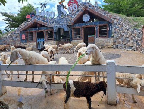 「泰」美麗曼谷、華欣 5天之旅   Pop Mart旗艦店、鄉村風主題農場～1000 Sook、Don Hoi Lot小漁村