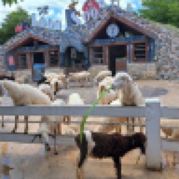 「泰」美麗曼谷、華欣 5天之旅   Pop Mart旗艦店、鄉村風主題農場～1000 Sook、Don Hoi Lot小漁村