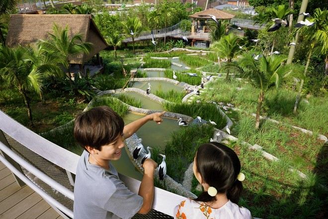 新加坡飛禽公園