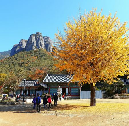 韓國深度秋楓7天之旅  ※【韓楓秋色】光州「無等山」芝山遊園地*吊椅式纜車+空中單軌車體驗、內藏山國立公園+內藏寺、大芚山道立公園+金剛排雲鐵索橋+三仙階梯、漫遊《全州韓屋村》韓服試穿體驗
