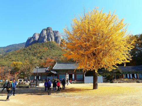 韓國深度秋楓7天之旅  ※【韓楓秋色】光州「無等山」芝山遊園地*吊椅式纜車+空中單軌車體驗、內藏山國立公園+內藏寺、大芚山道立公園+金剛排雲鐵索橋+三仙階梯、漫遊《全州韓屋村》韓服試穿體驗