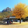 韓國深度秋楓7天之旅  ※【韓楓秋色】光州「無等山」芝山遊園地*吊椅式纜車+空中單軌車體驗、內藏山國立公園+內藏寺、大芚山道立公園+金剛排雲鐵索橋+三仙階梯、漫遊《全州韓屋村》韓服試穿體驗