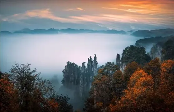 天子山秋景