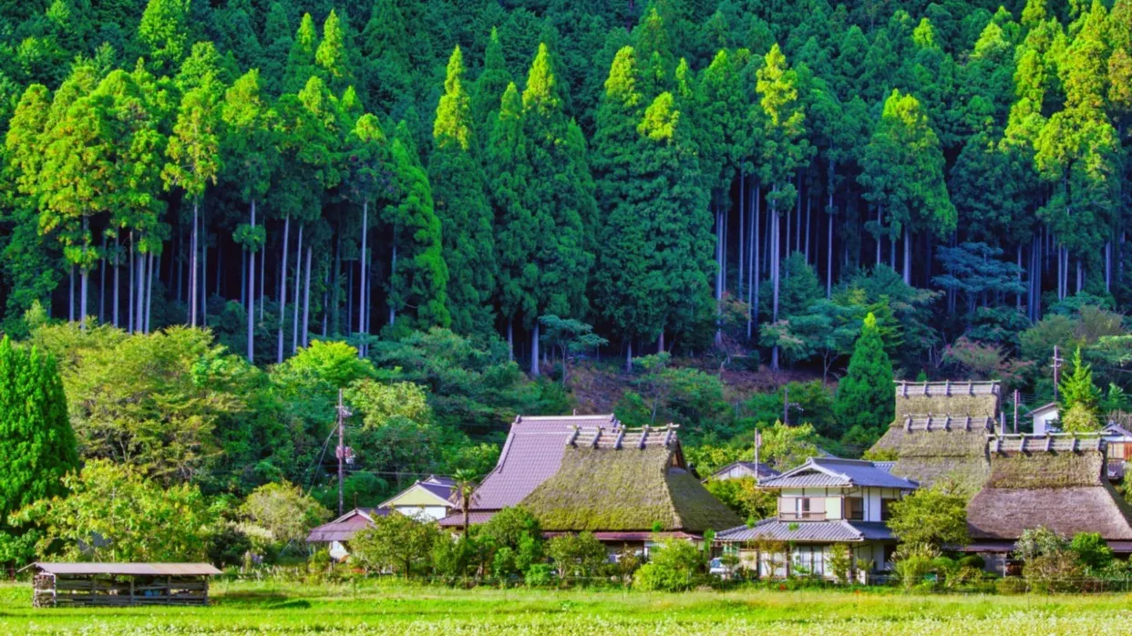 美山町北村