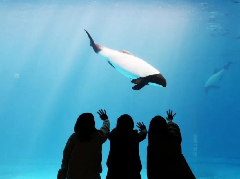 鳥羽水族館