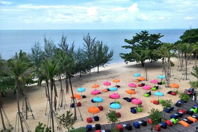 Angsana Teluk Bahang