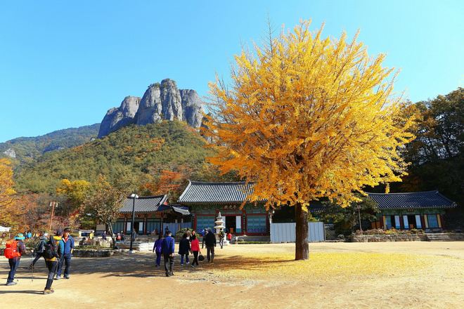 周王山國立公園~大典寺