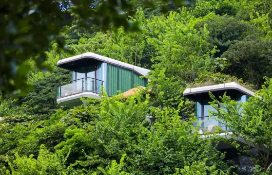 廣州山谷國際度假區