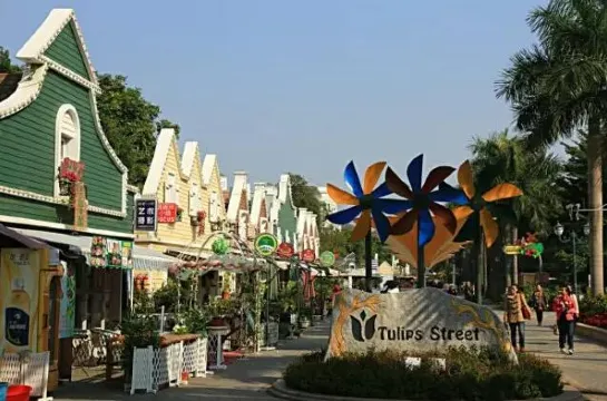 深圳荷蘭花卉小鎮