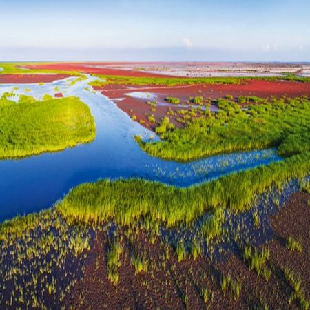 【5鑽】人氣山東(青島、泰安、濰坊、東營、淄博) 6天純玩之旅  青島(歐陸建築群~八大關、青島啤酒博物館)、泰安(五嶽之首~泰山)、齊國故都~淄博(紅葉柿岩景區) 、風箏之都~濰坊、東營