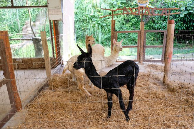 到訪文冬休閒農場