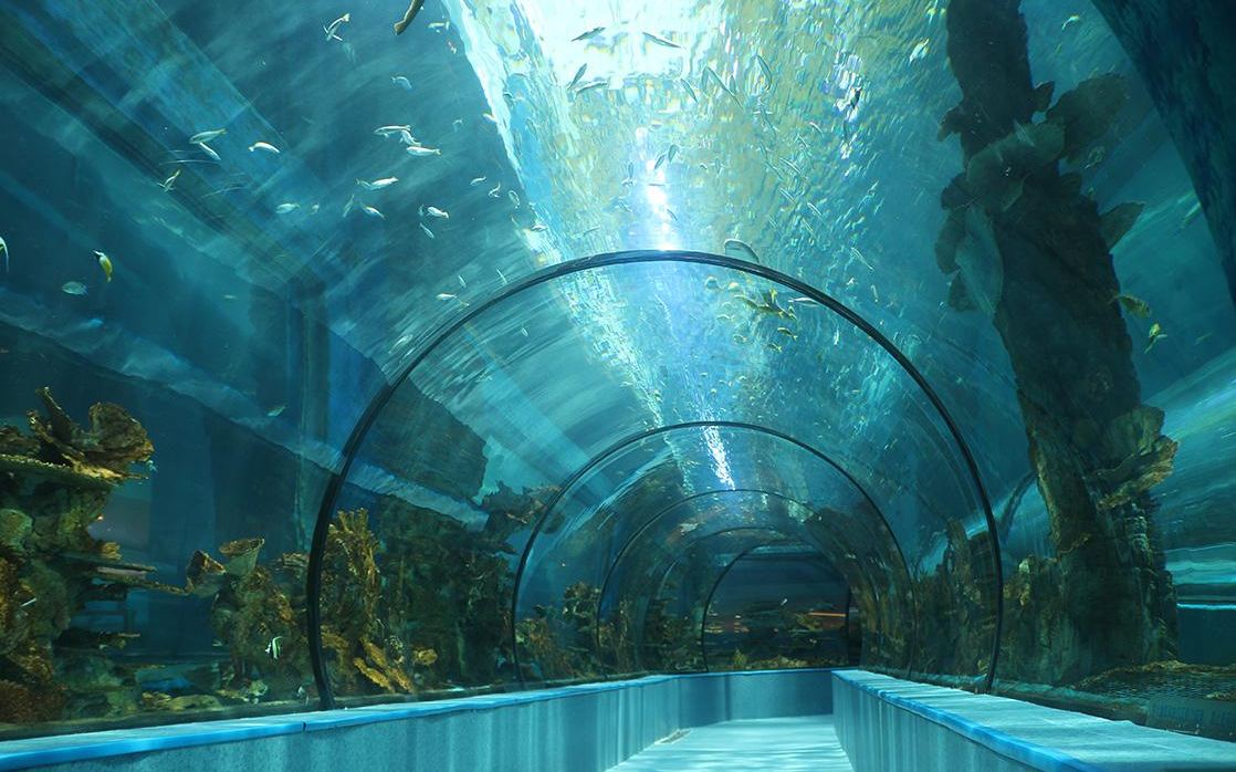 樂從天佑城海洋館