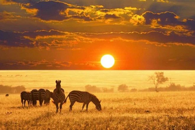 瑪沙瑪拉野生動物保護區