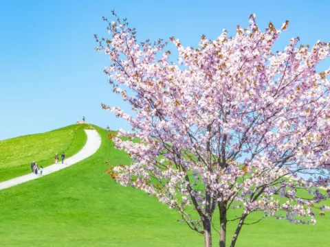 莫埃來沼環保公園