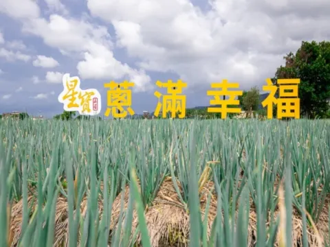 星寶蔥體驗農場