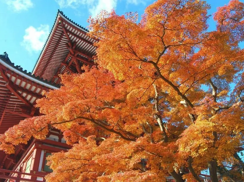成田山新勝寺