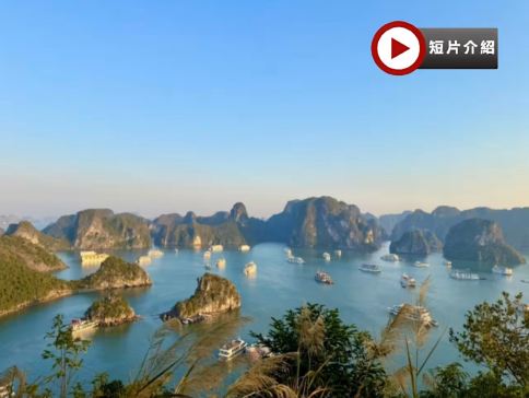河內+下龍灣+峴港+會安+胡志明7天觀光團 《選乘越南航空‧增乘雙程內陸機‧河內入、胡志明走‧餐食全包》《Ambassador Cruise 下龍灣尊貴觀光遊輪體驗‧天堂島、驚訝洞(觀賞千年鐘乳石)》