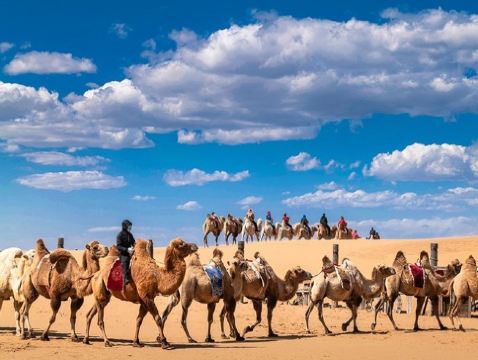 【直航大同】馳騁內蒙古、穿越大同城 草原+沙漠+火山+溫泉8天純玩團  呼和浩特(希拉穆仁草原、大召寺)、鄂爾多斯(響沙灣、成吉思汗陵)、烏蘭察布(烏蘭哈達火山)、山西大同(雲岡石窟)