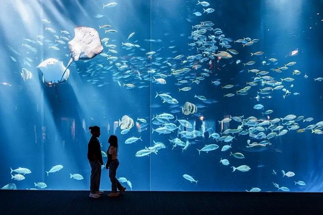 四國水族館@三豐市觀光交流局