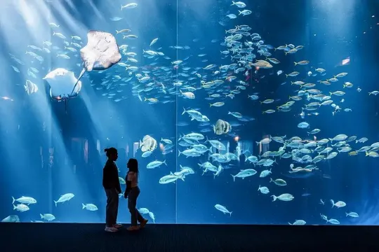 四國水族館@三豐市觀光交流局
