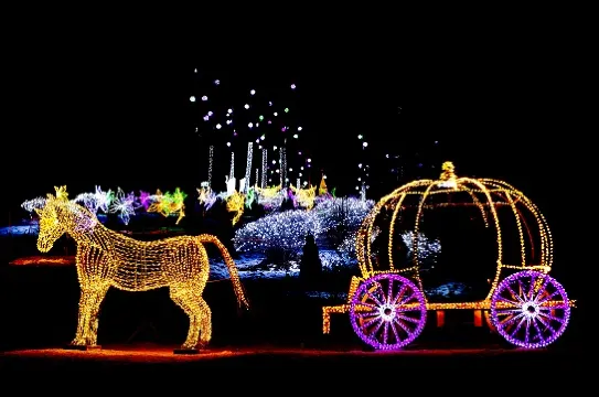 晨靜樹木園(五色星光庭園展)