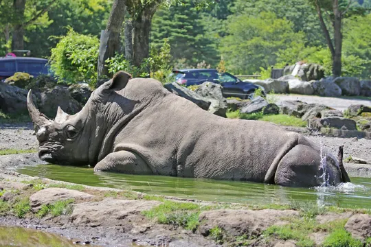 富士野生動物園