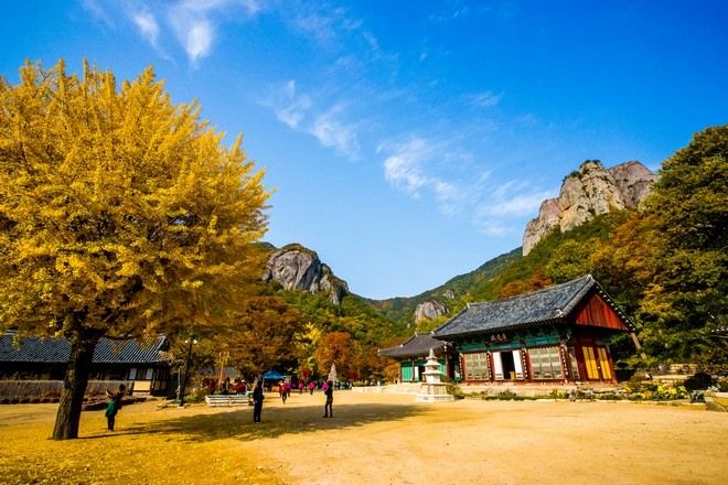 周王山國立公園~大典寺