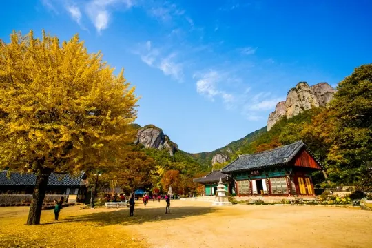 周王山國立公園~大典寺