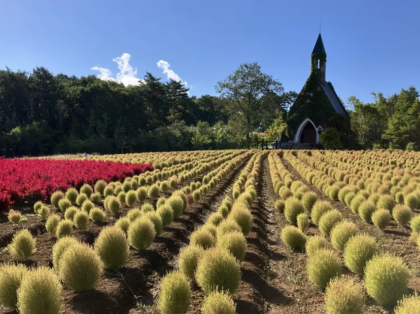 牧歌之里