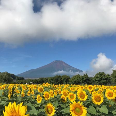 東京、茨城、河口湖 夏日5天賞景之旅  富士山五合目、「世界三大高佛像」牛久大佛、大洗磯前神社、絕美海上鳥居~神磯之鳥居、成田山新勝寺、1晚溫泉酒店