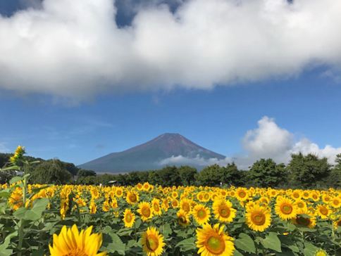東京、茨城、河口湖 夏日5天賞景之旅 富士山五合目、「世界三大高佛像」牛久大佛、大洗磯前神社、絕美海上鳥居~神磯之鳥居、成田山新勝寺、1晚溫泉酒店 東京、茨城、河口湖 夏日5天賞景之旅 富士山五合目、「世界三大高佛像」牛久大佛、大洗磯前神社、絕美海上鳥居~神磯之鳥居、成田山新勝寺、1晚溫泉酒店