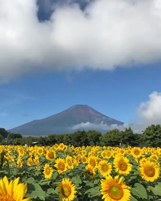 東京、茨城、河口湖 夏日5天賞景之旅 富士山五合目、「世界三大高佛像」牛久大佛、大洗磯前神社、絕美海上鳥居~神磯之鳥居、成田山新勝寺、1晚溫泉酒店