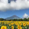 東京、茨城、河口湖 夏日5天賞景之旅  富士山五合目、「世界三大高佛像」牛久大佛、大洗磯前神社、絕美海上鳥居~神磯之鳥居、成田山新勝寺、1晚溫泉酒店