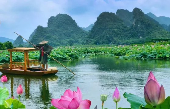 2025年第9屆荷花節