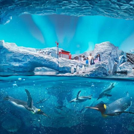 阿布達比 6天團【4星級酒店、稅項全包】/參觀 阿布達比羅浮宮、阿布達比大清真寺、阿布達比海洋世界