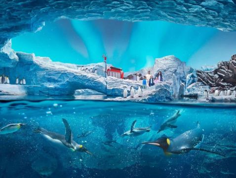 阿布達比 6天團【4星級酒店、稅項全包】/參觀 阿布達比羅浮宮、阿布達比大清真寺、阿布達比海洋世界