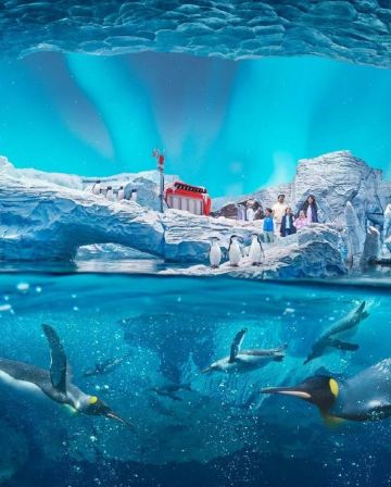 阿布達比 6天團【4星級酒店、稅項全包】/參觀 阿布達比羅浮宮、阿布達比大清真寺、阿布達比海洋世界