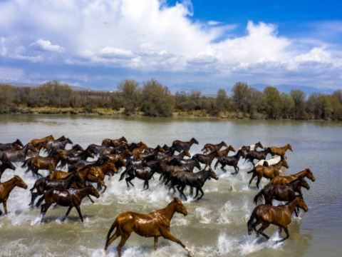 昭蘇濕地公園~天馬浴河