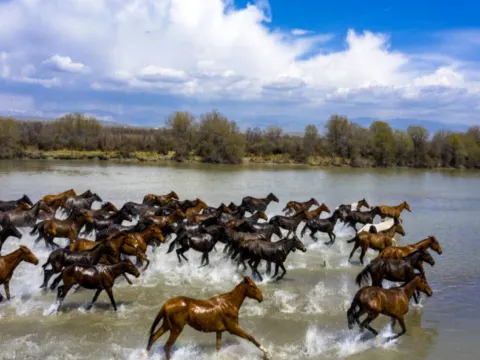 昭蘇濕地公園~天馬浴河