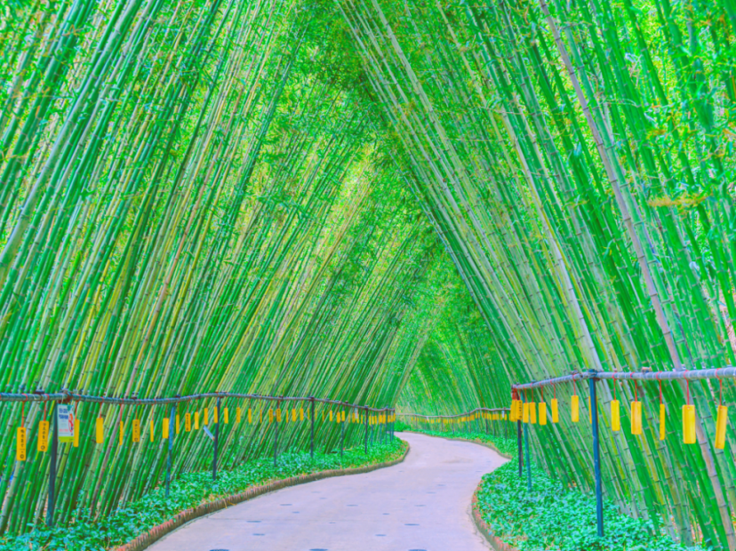 千谷溪~九重飛瀑