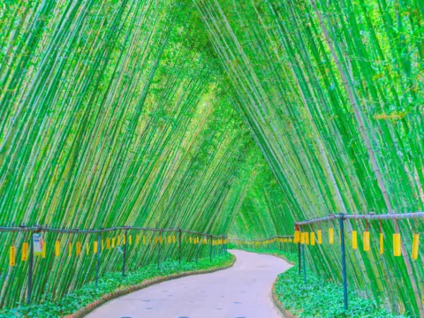 千谷溪~九重飛瀑