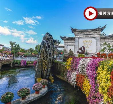 《皇牌直航昆明 ‧雲南深度遊8天團》 香格里拉、昆明 、麗江古城、玉龍雪山(雲杉坪)、大理、大理古城、松贊林寺、獨克宗古城、虎跳峽、普達措國家公園 民族風情 8天直航團